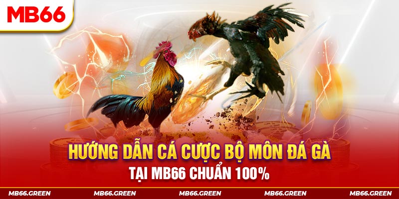 123b kết quả xổ số miền bắc ngày hôm nay
