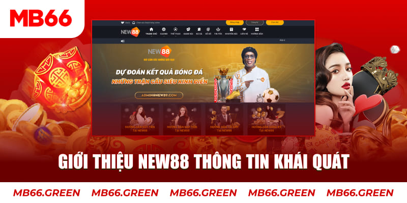 123b c1 gà chọi