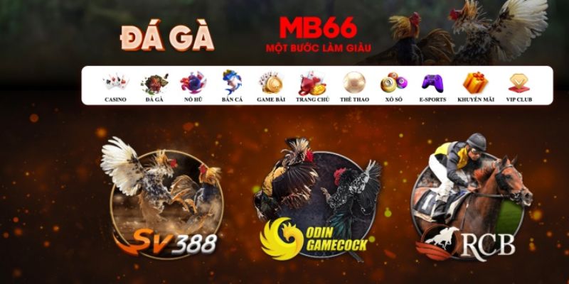 123b what is casino bonus wagering