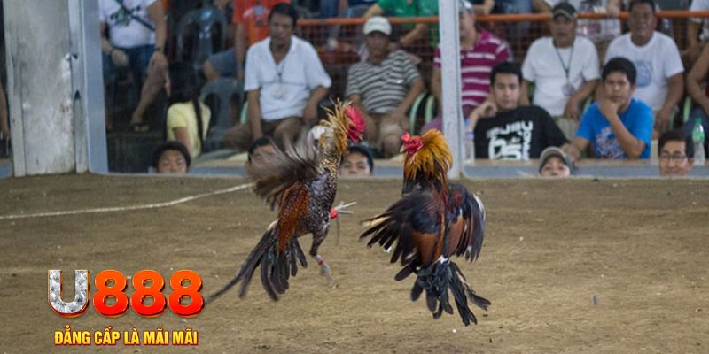 123b đăng nhập mậu binh khuyến mãi