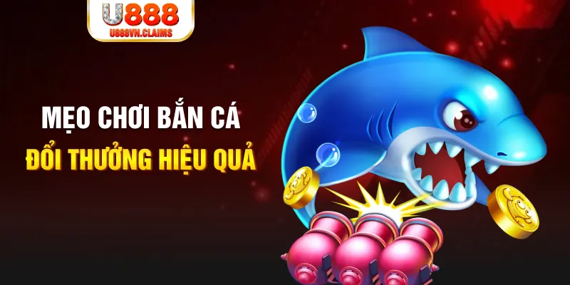 123b gà chọi cam ranh