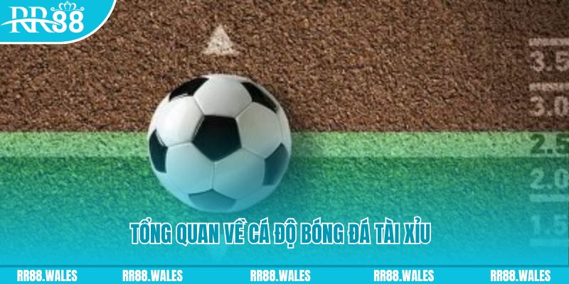 123b đăng nhập roulette online