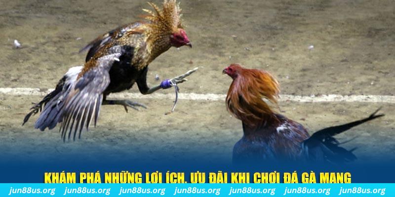 123b đăng nhập liêng live