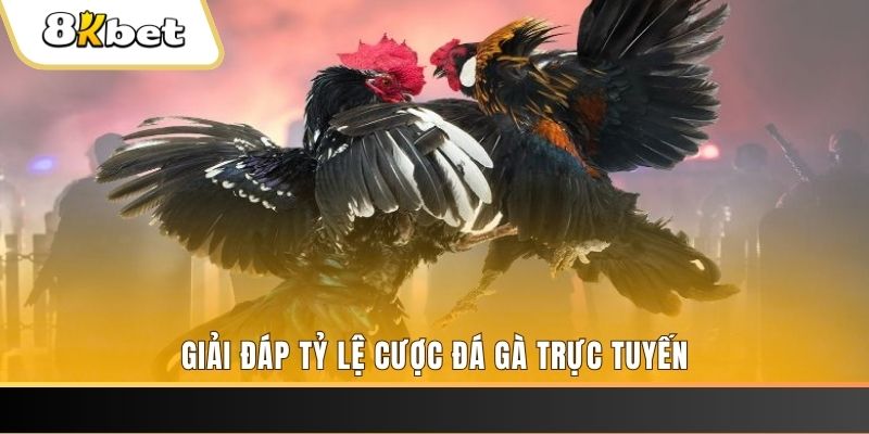 123b ban ca online