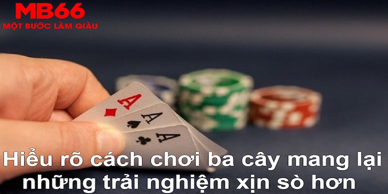 123b ÁT CHỦ MÁY HOA QUẢ THẦN TÀI